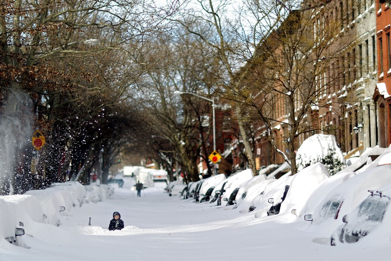 Illustration for article titled Adorable Kids And Adorable Dogs Make The Most Of Snow